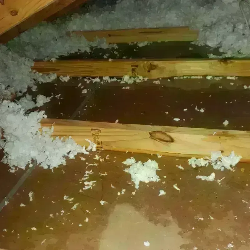 Attic Water Damage in Wahoo, NE